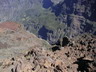 cross piton des neiges 2006 - www.feeling974.com